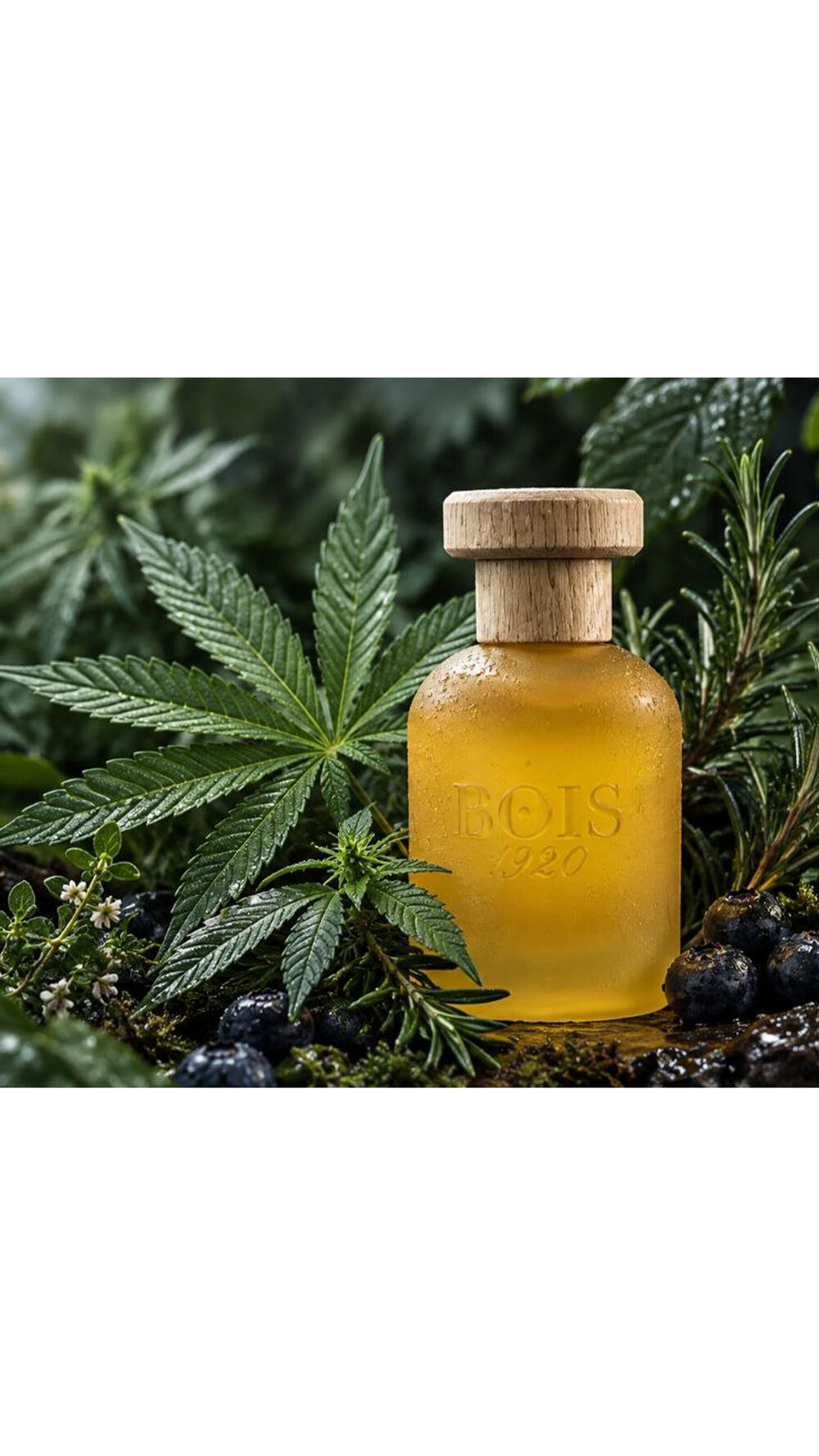 Cannabis Fruttata 100ml. ПАРФУМОВАНА ВОДА 